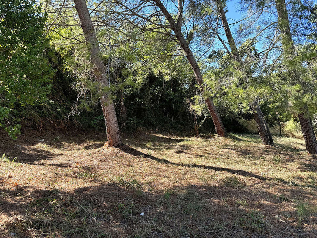 Terrain à VILLENEUVE-LES-AVIGNON