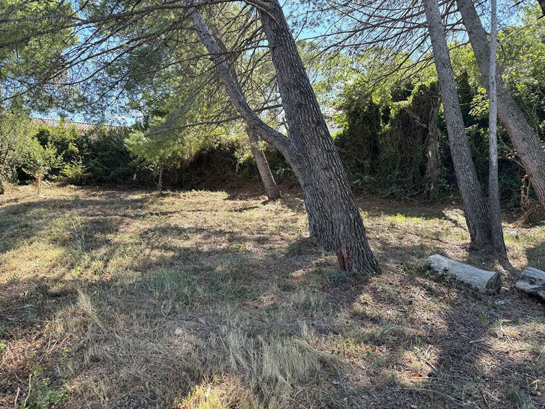 Terrain à VILLENEUVE-LES-AVIGNON