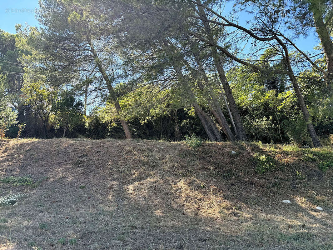 Terrain à VILLENEUVE-LES-AVIGNON