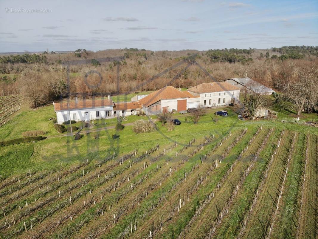 Maison à SAINT-BONNET-SUR-GIRONDE