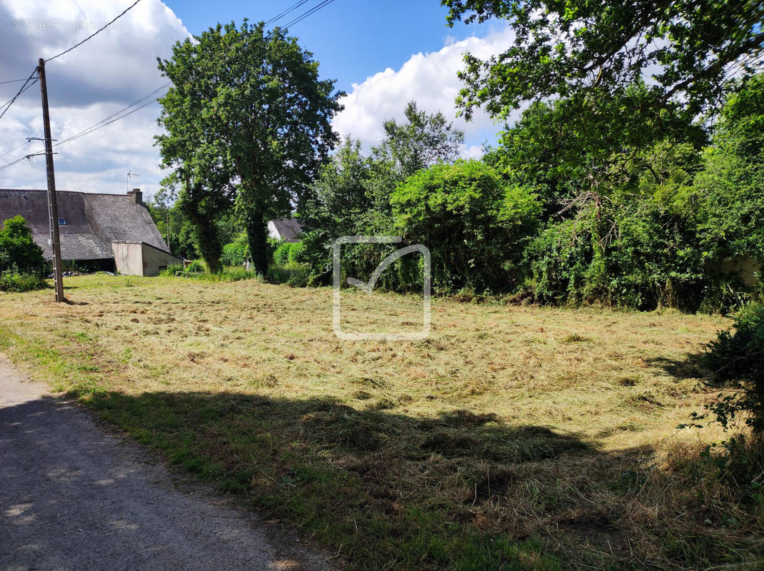 Terrain à PLOERMEL