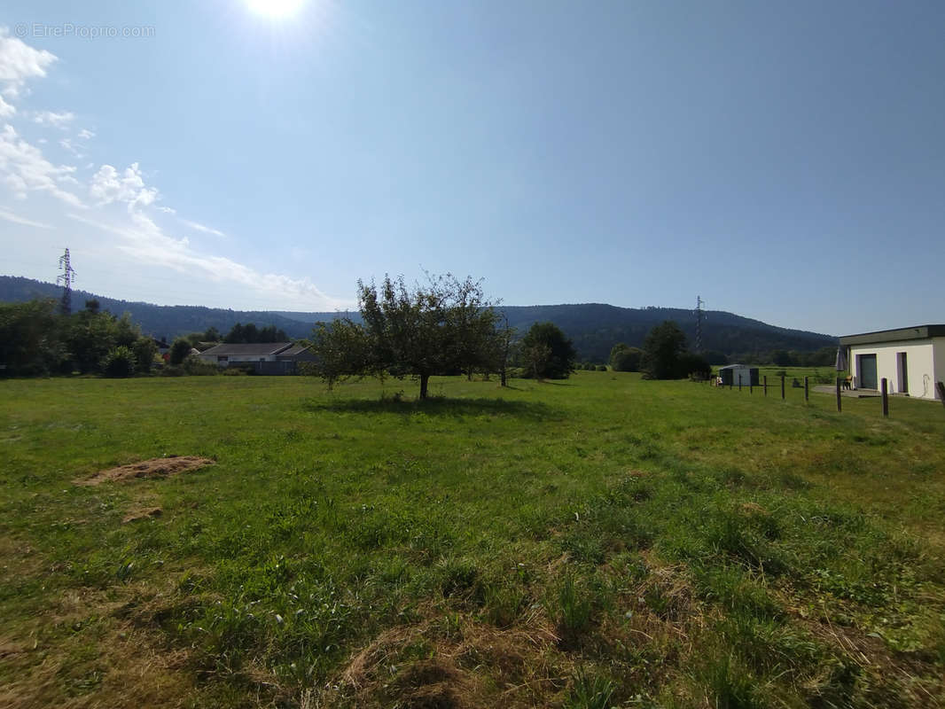 Terrain à DOMMARTIN-LES-REMIREMONT