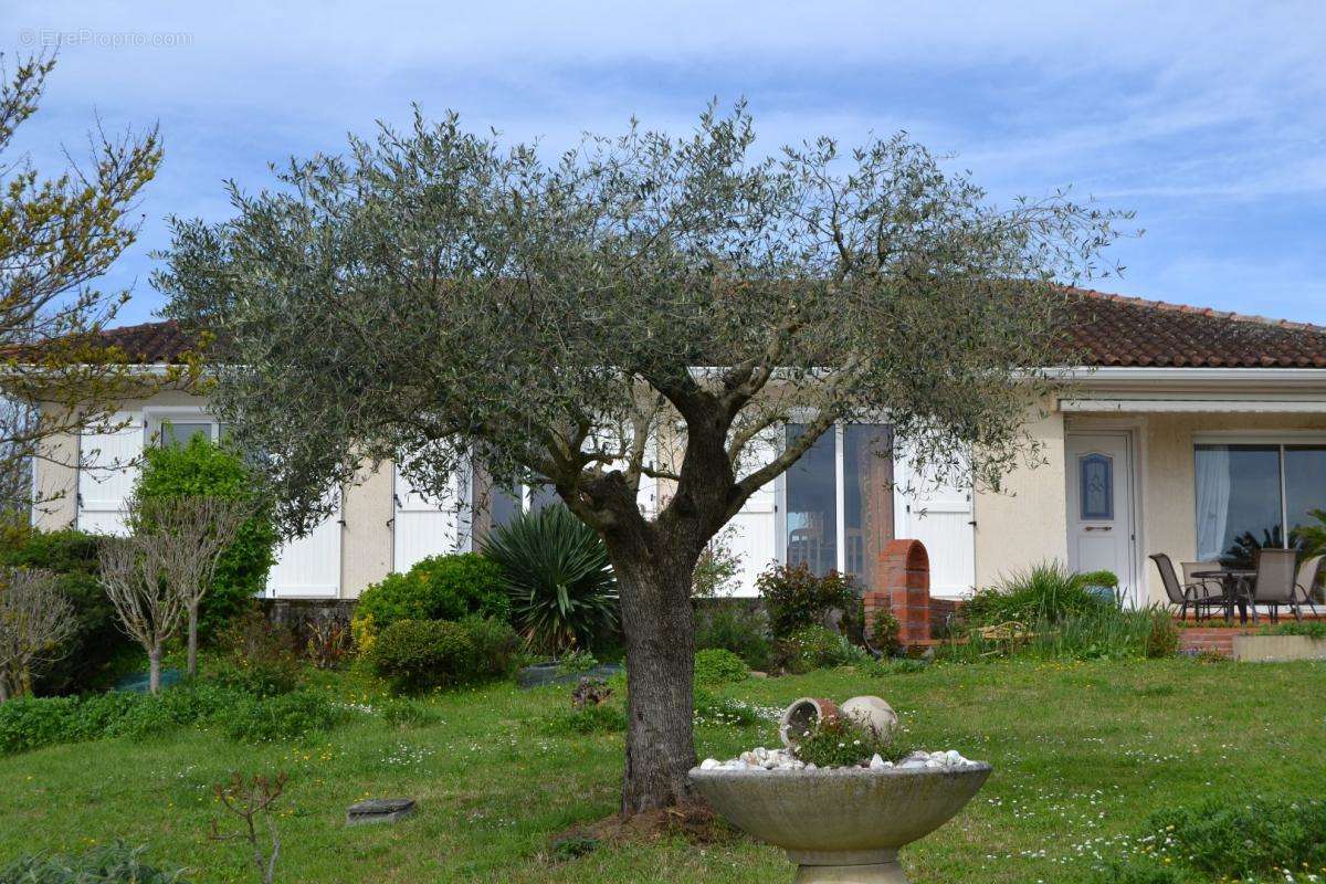 Maison à AUZIELLE