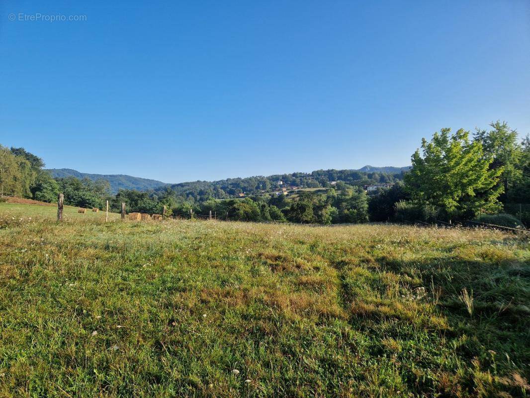 Terrain à BRASSAC