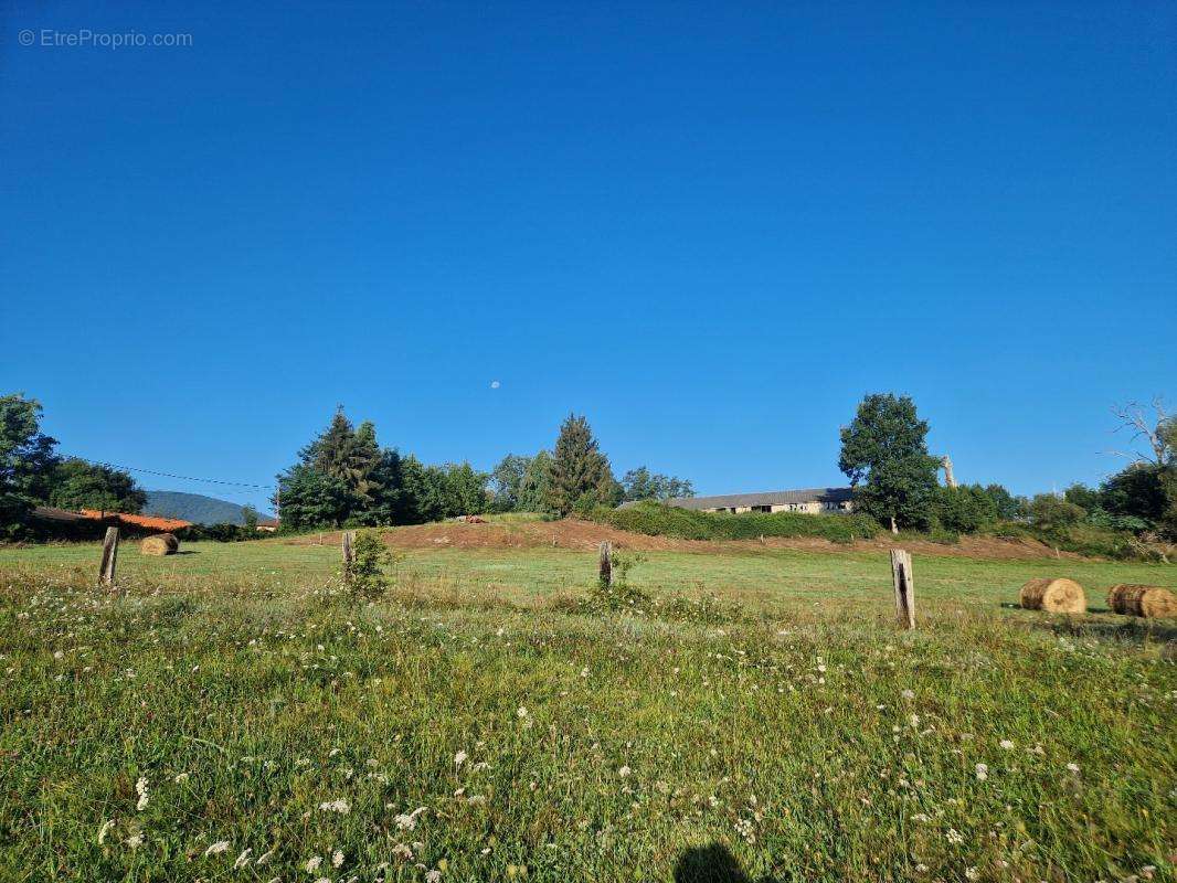 Terrain à BRASSAC