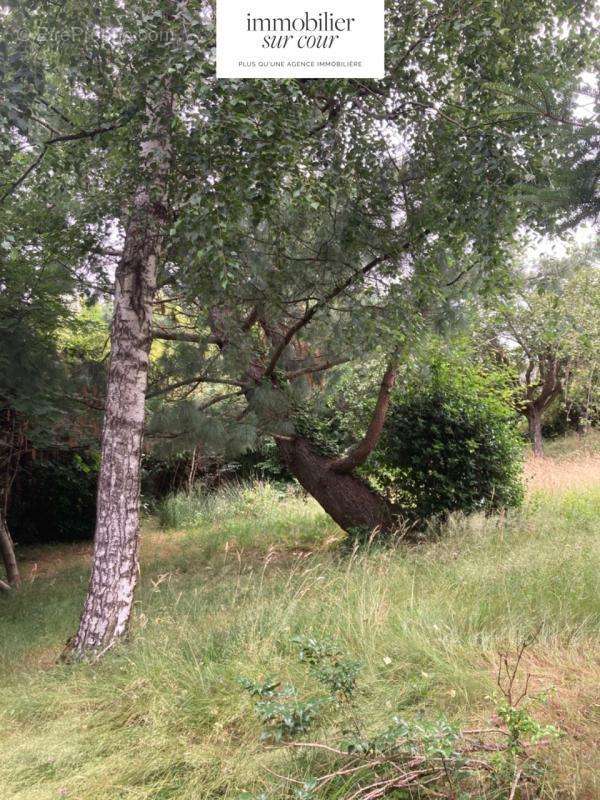 Terrain à SAINT-PRIEST-EN-JAREZ