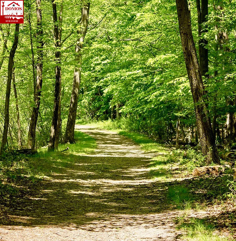 Terrain à LE PIAN-MEDOC