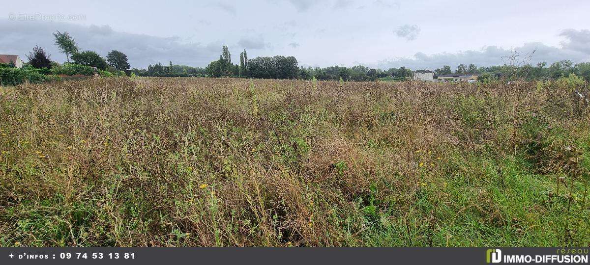 Terrain à COURLON-SUR-YONNE