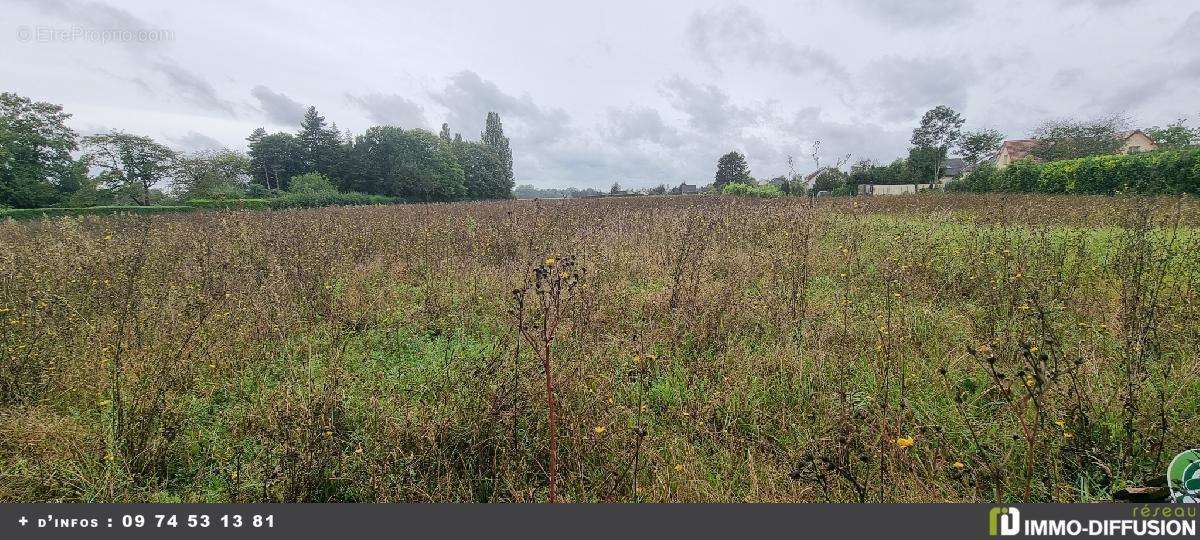 Terrain à COURLON-SUR-YONNE