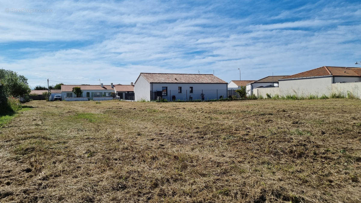 Terrain à SAINT-HILAIRE-DE-RIEZ