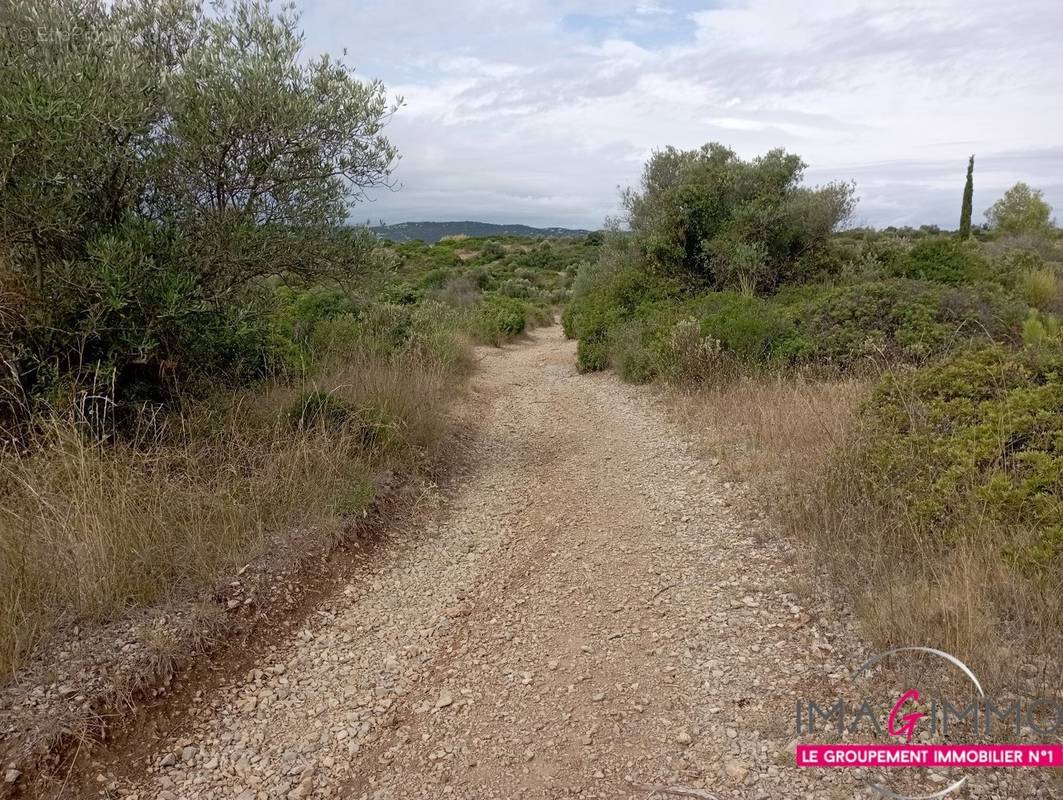 Terrain à COURNONTERRAL