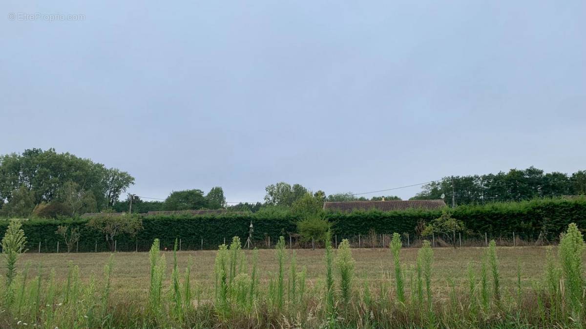 Terrain à SAINT-GENEST-D&#039;AMBIERE