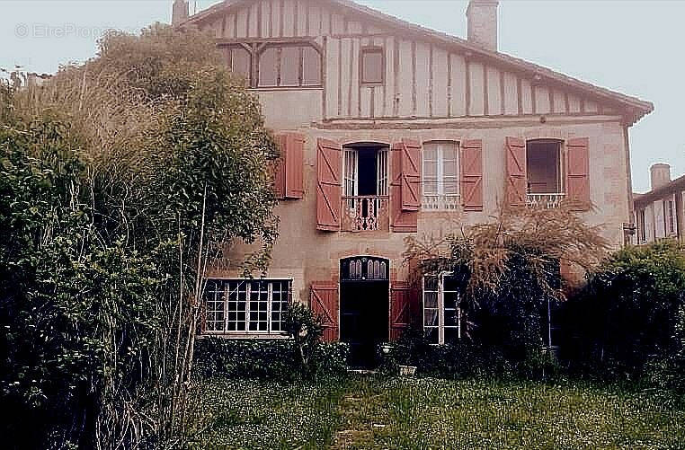 Maison à MASSEUBE