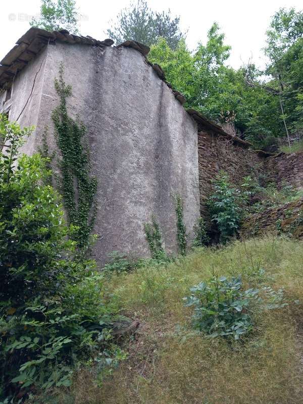 Maison à SAINT-ANDRE-DE-VALBORGNE