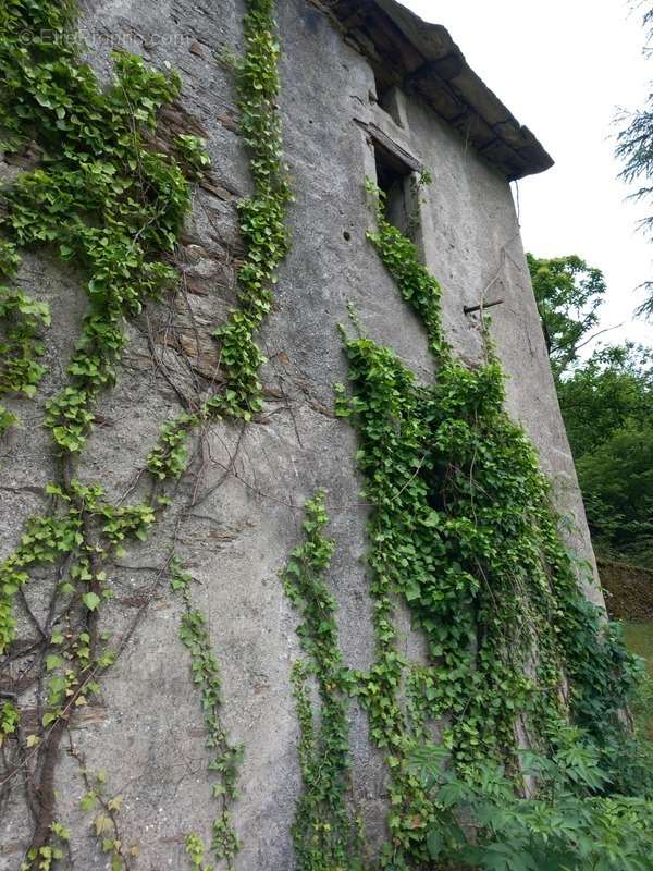 Maison à SAINT-ANDRE-DE-VALBORGNE