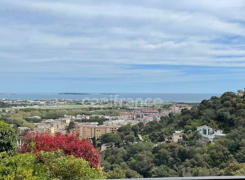 Appartement à MANDELIEU-LA-NAPOULE