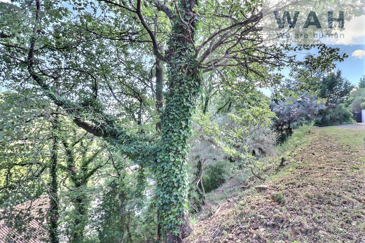 Terrain à LODEVE