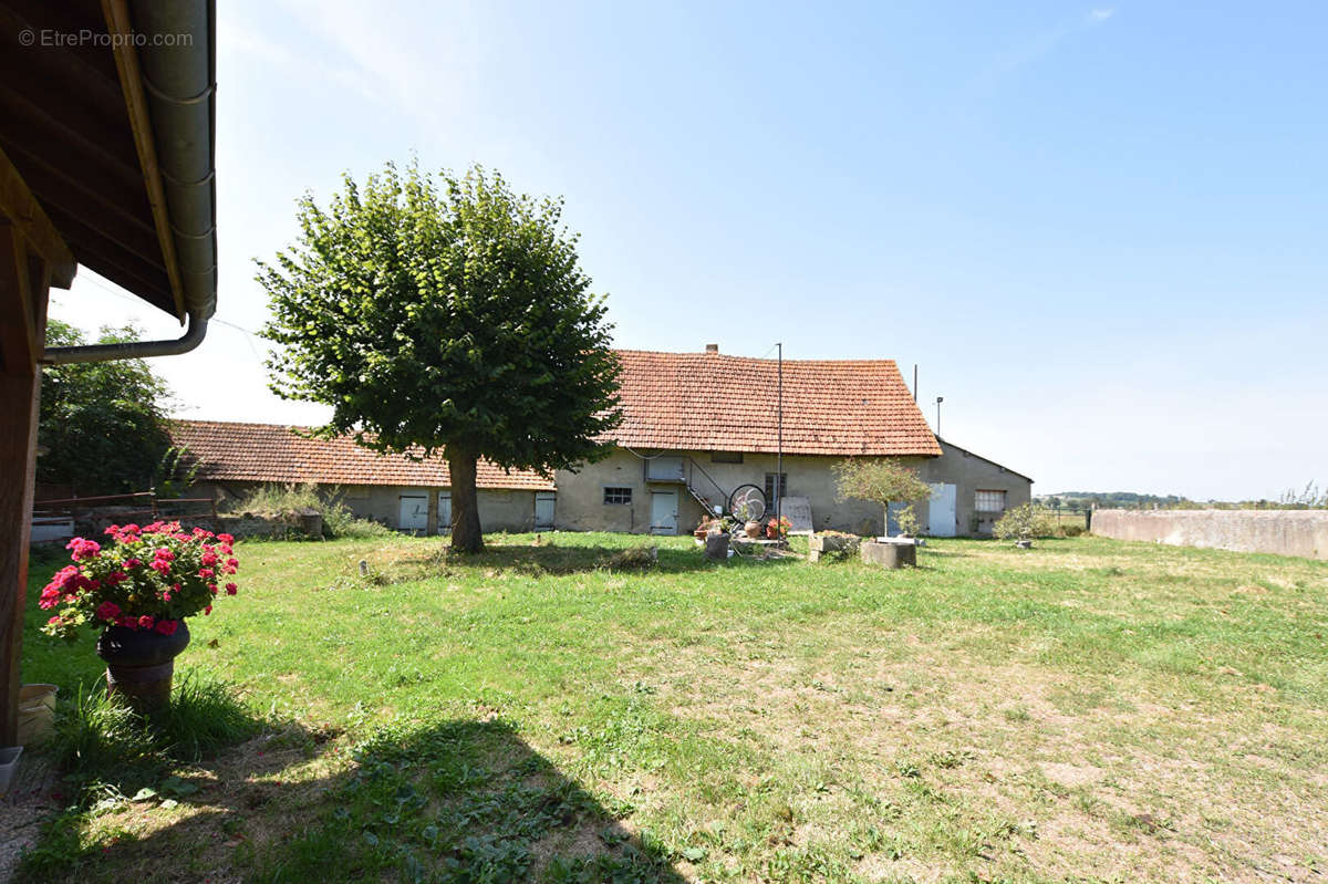 Maison à LE DONJON