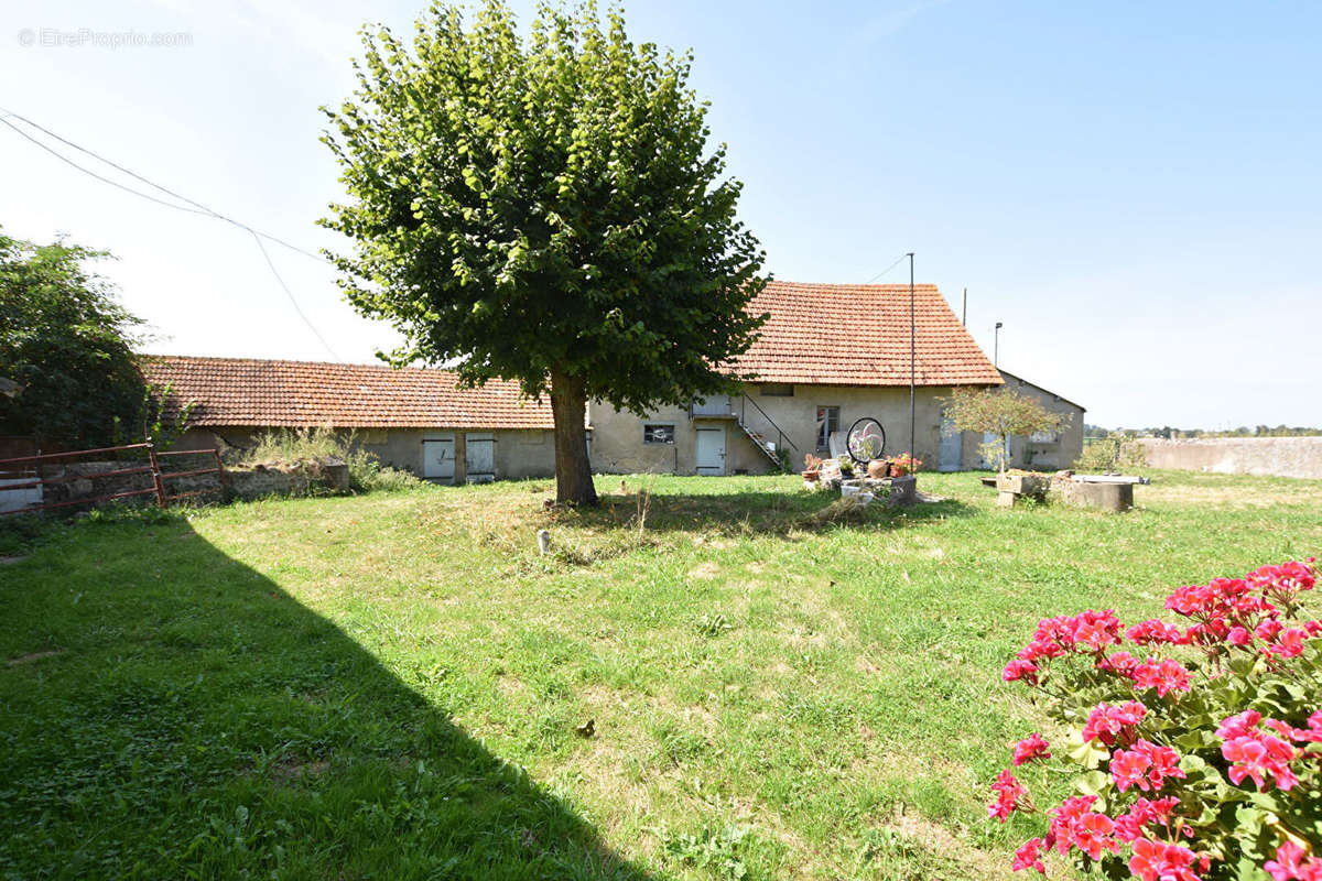 Maison à LE DONJON