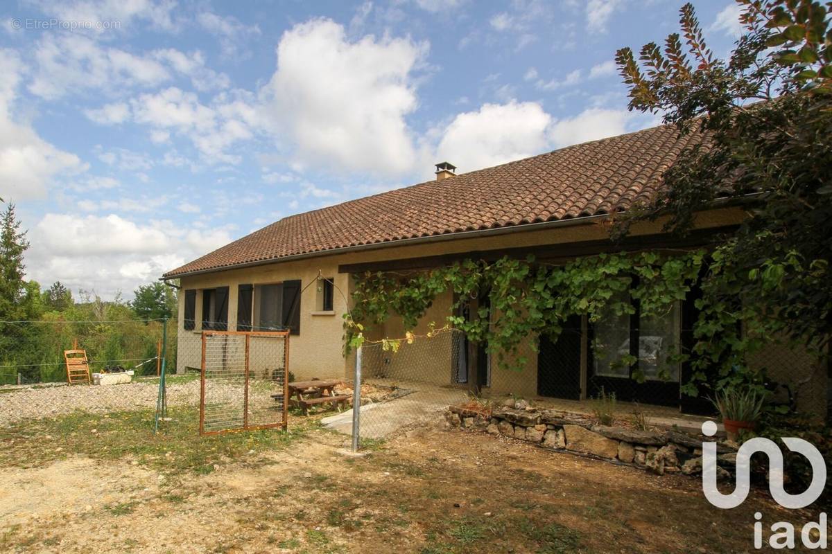 Photo 1 - Maison à LE BUISSON-DE-CADOUIN