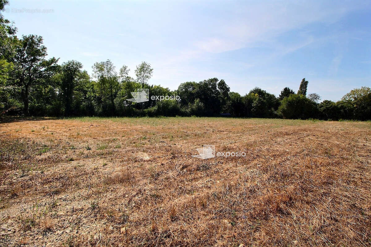 Terrain à LES FOSSES