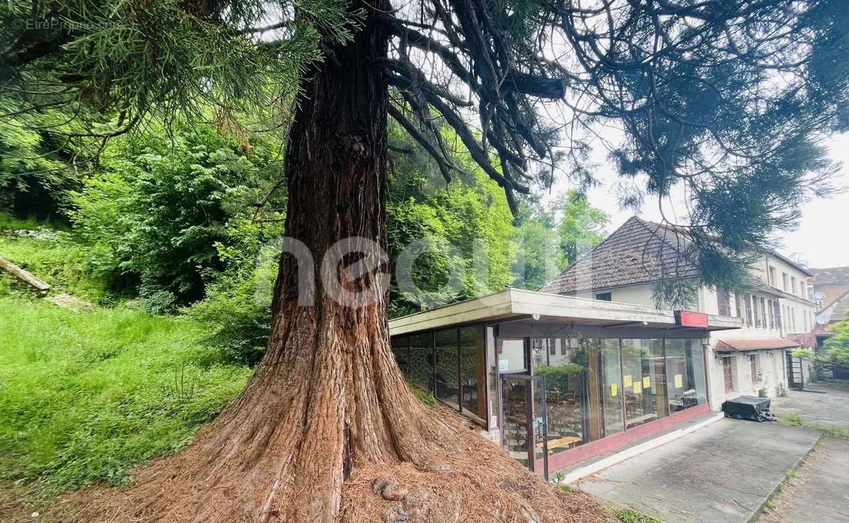 Appartement à CHATEAUNEUF-LES-BAINS