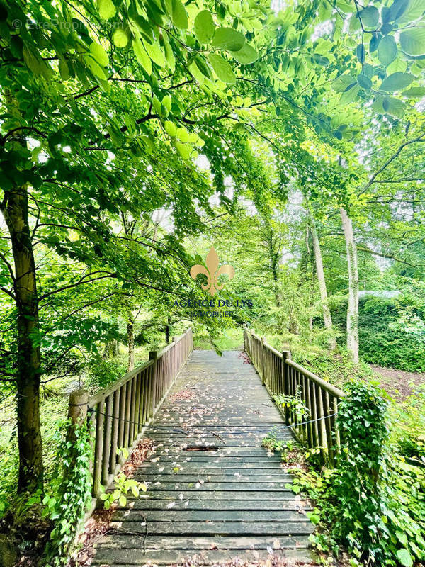 Appartement à COYE-LA-FORET