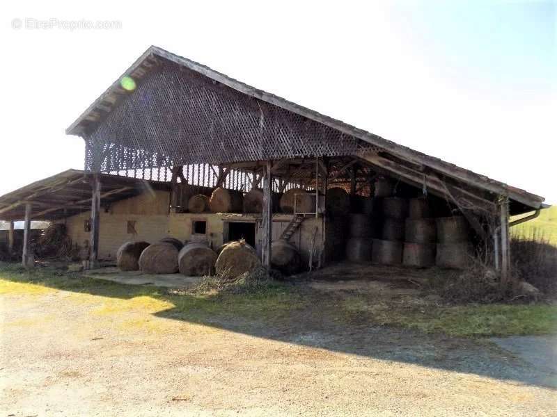 Maison à MASSEUBE