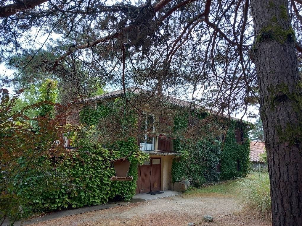 Maison à BERGERAC