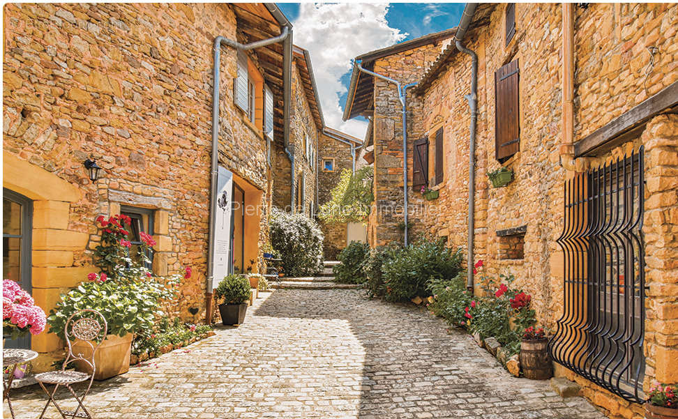 Appartement à LE BOIS-D&#039;OINGT