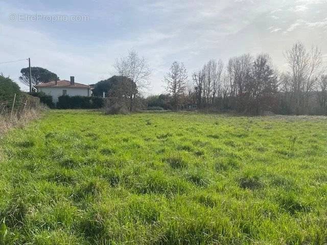 Terrain à MONTAUBAN