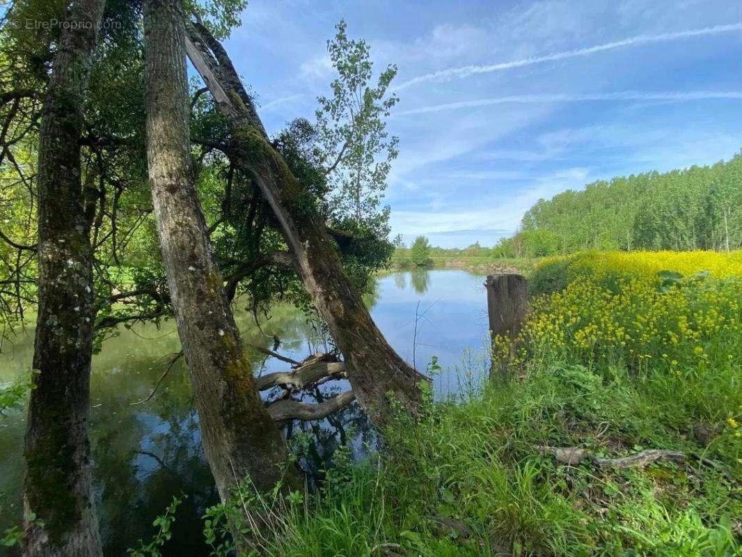 Terrain à SAINT-HIPPOLYTE