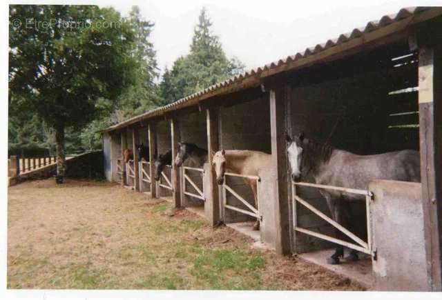 Maison à LE SOULIE