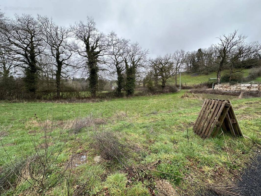 Terrain à MONTROZIER