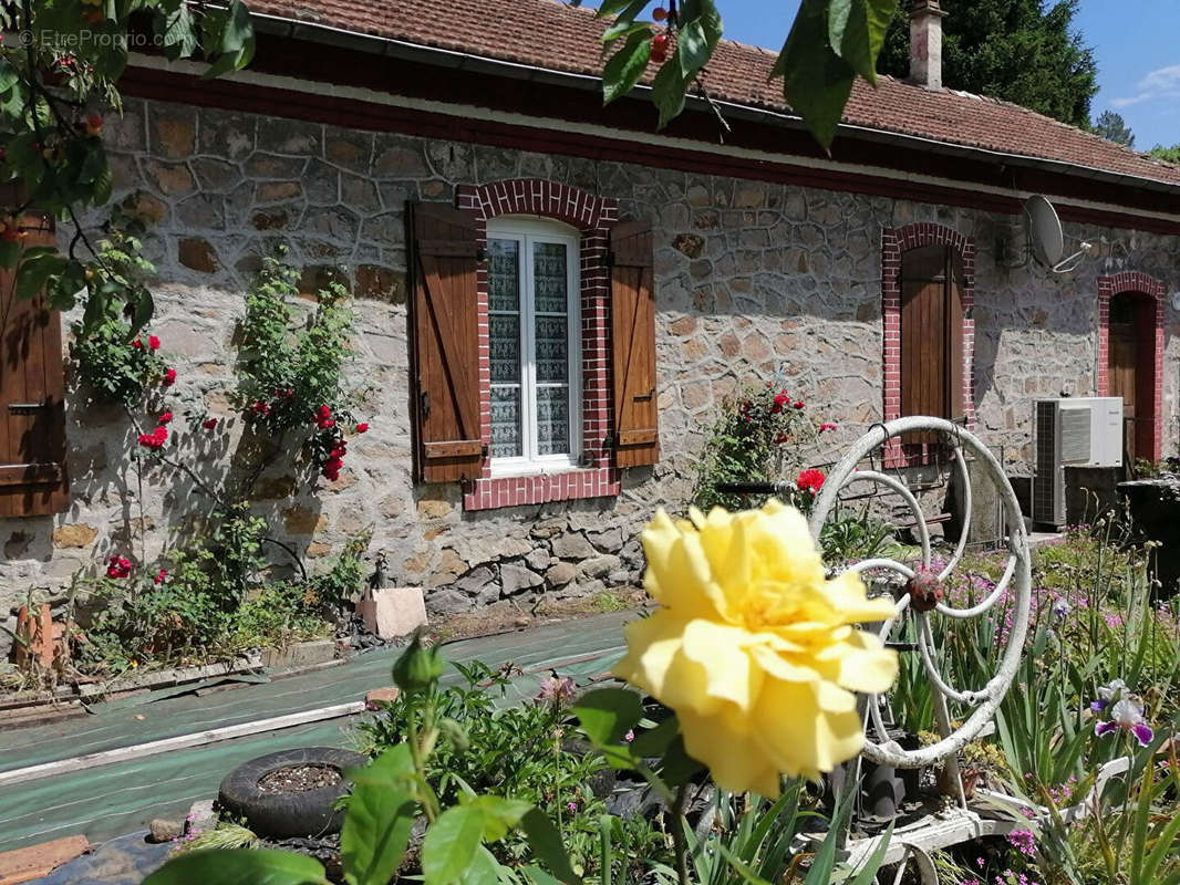 Maison à SAINT-FLORENT-SUR-AUZONNET