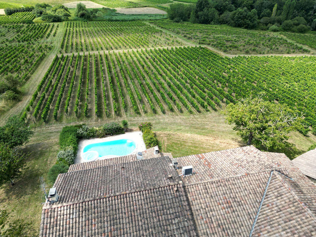 Terrain à SAINT-EMILION