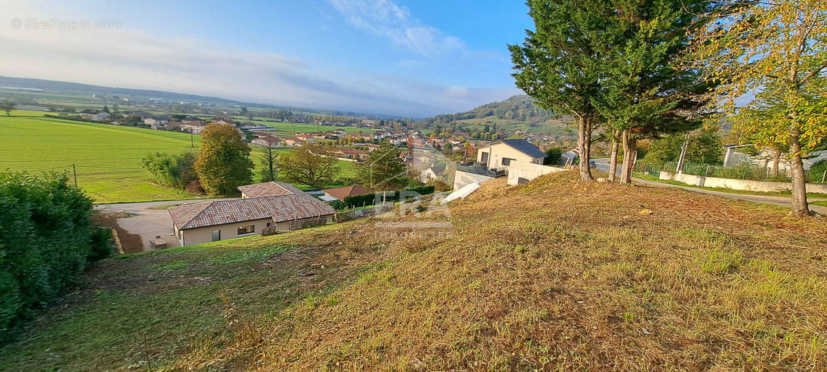 Terrain à LAGNIEU