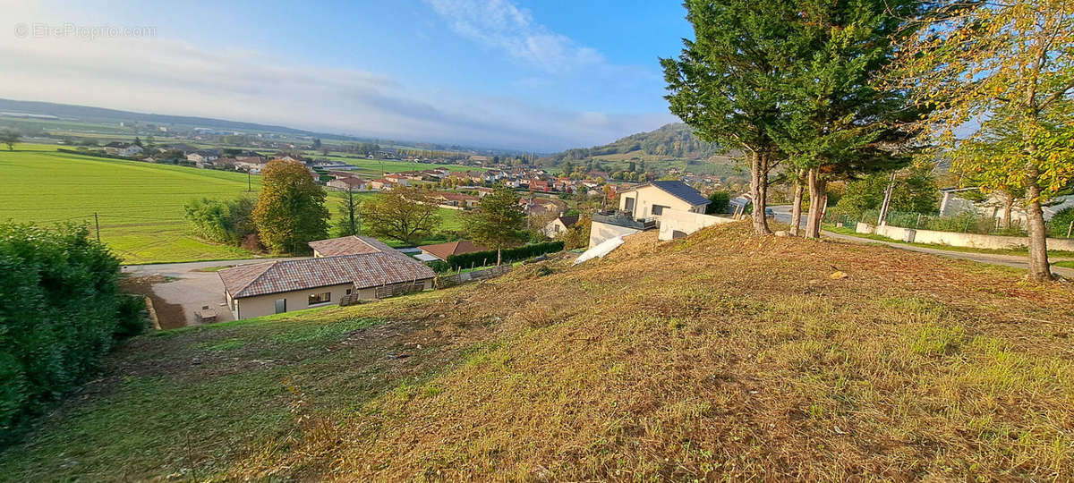 Terrain à VAUX-EN-BUGEY