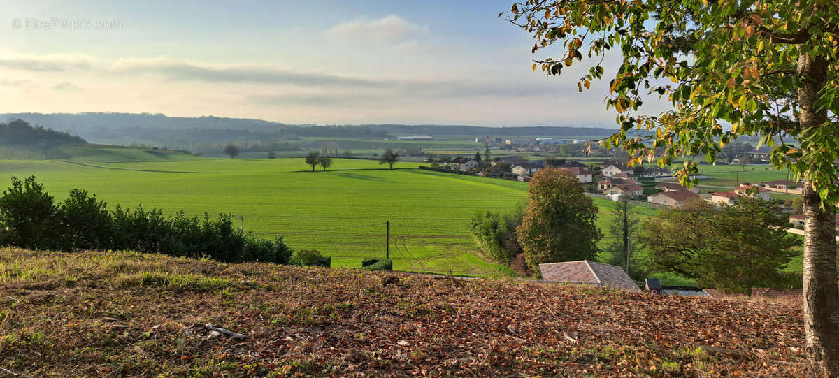 Terrain à VAUX-EN-BUGEY