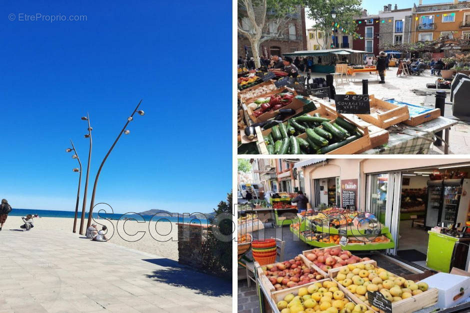 Appartement à ARGELES-SUR-MER