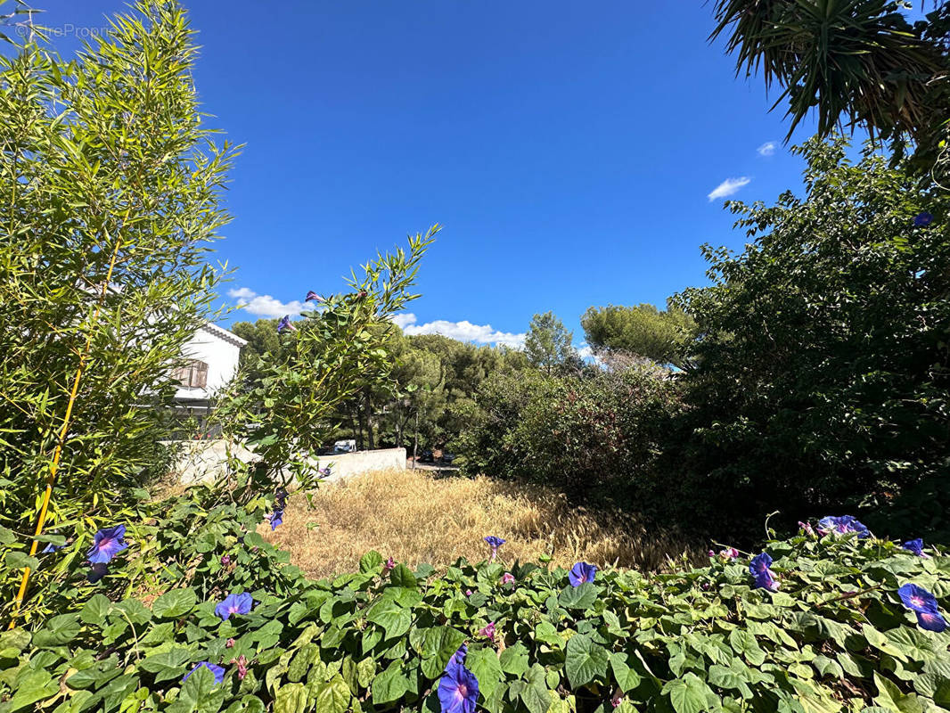 Terrain à BANDOL