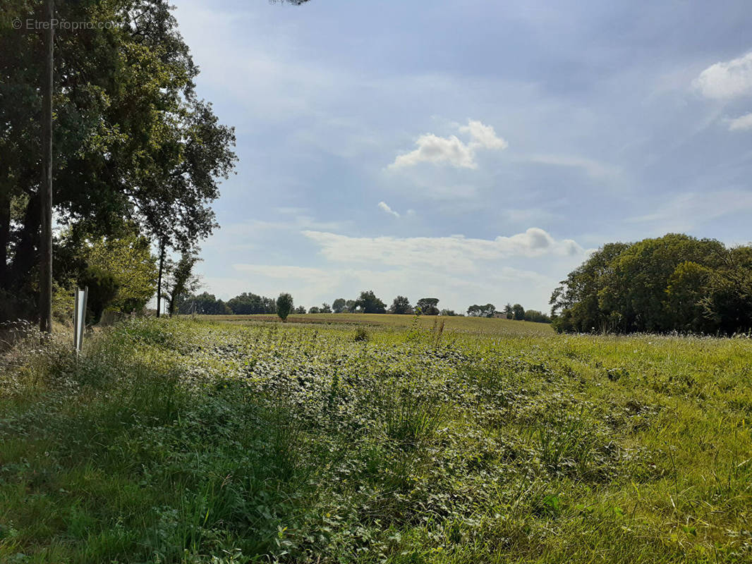 Terrain à SAINT-CRICQ-CHALOSSE