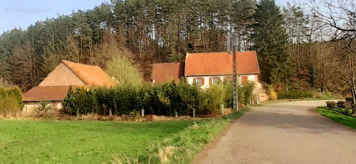 Maison à PHILIPPSBOURG