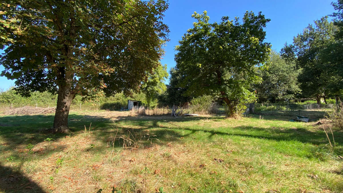 Terrain à SAINT-ETIENNE-DE-TULMONT