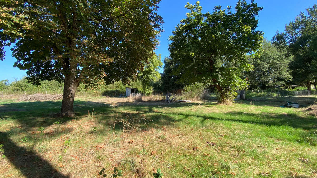 Terrain à SAINT-ETIENNE-DE-TULMONT