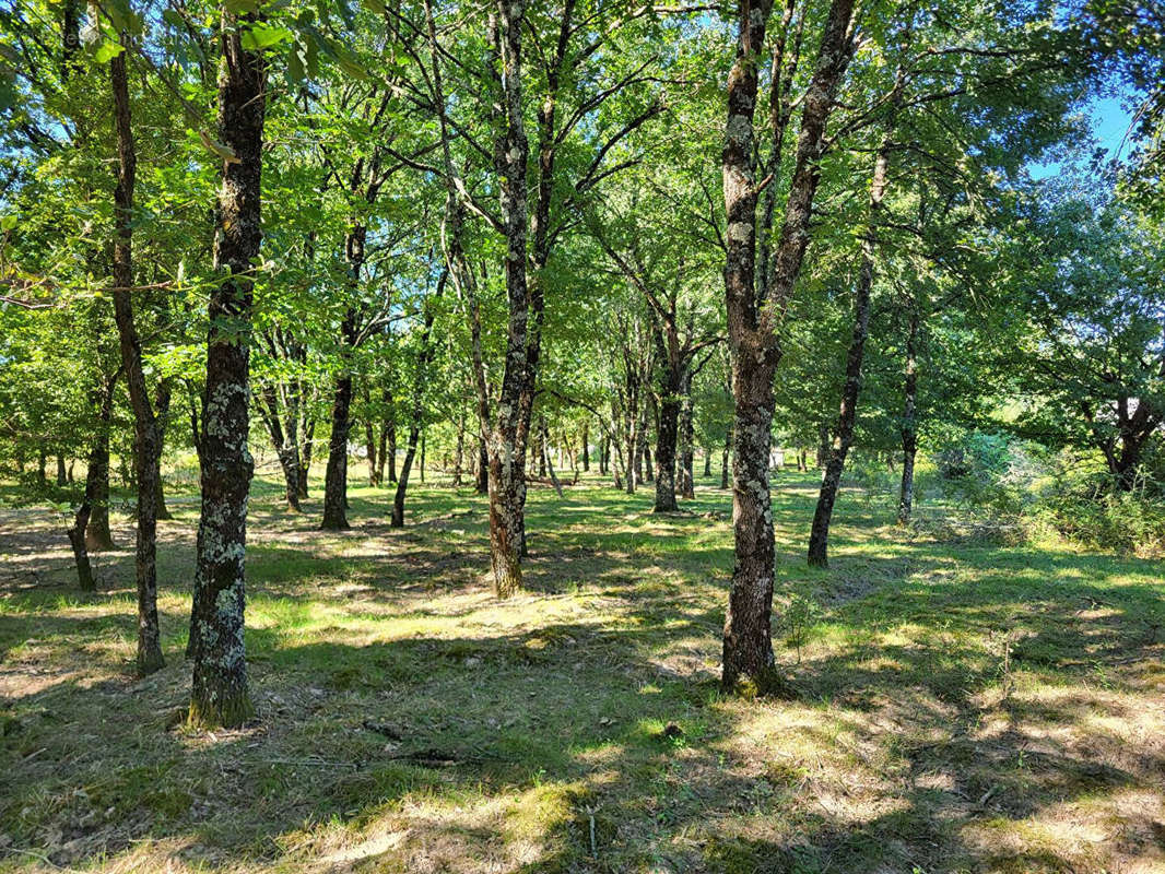 Terrain à SAINT-ETIENNE-DE-TULMONT