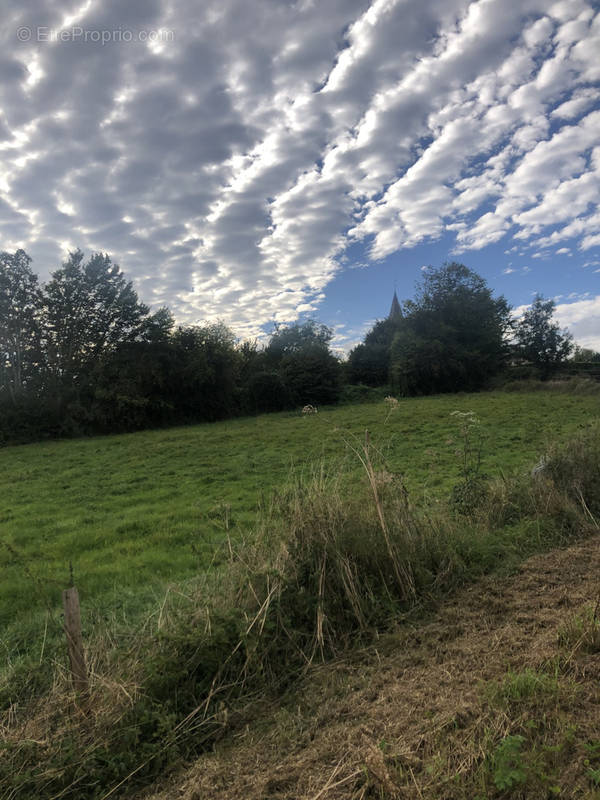 Terrain à RONCHEROLLES-EN-BRAY