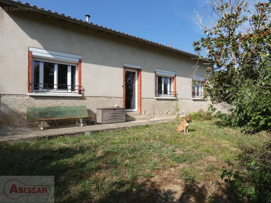 Maison à CORDES-SUR-CIEL