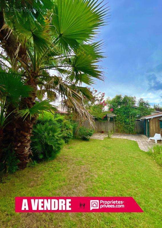 Maison à LEGE-CAP-FERRET