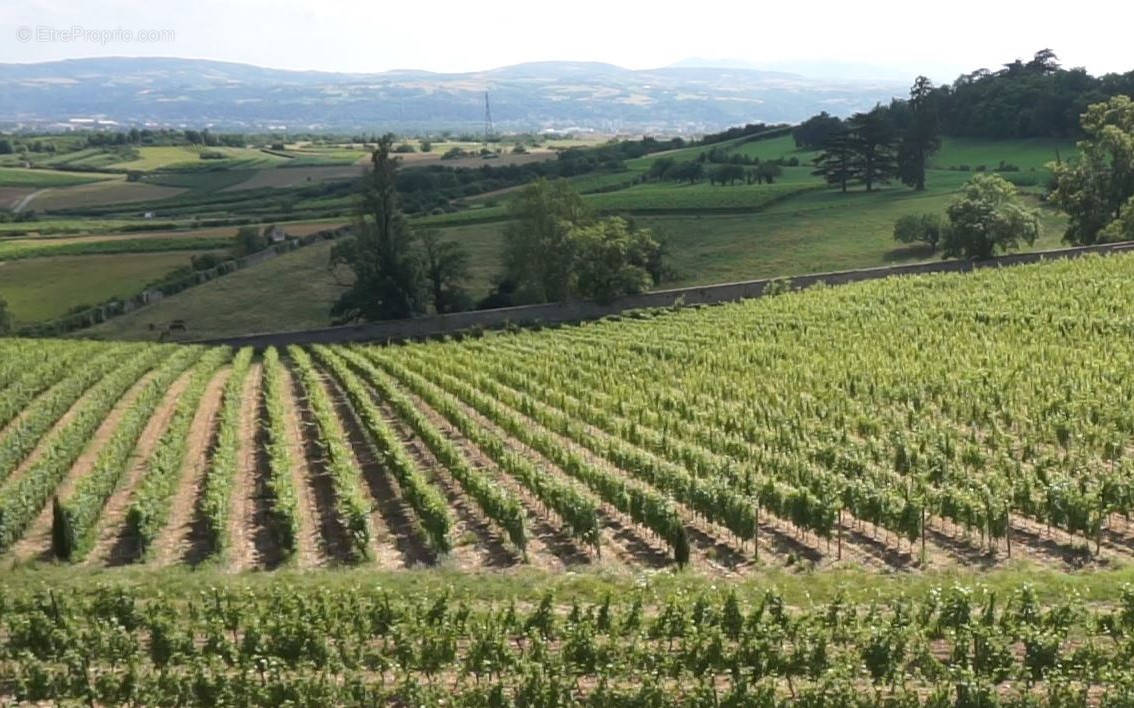 Terrain à PAUILLAC